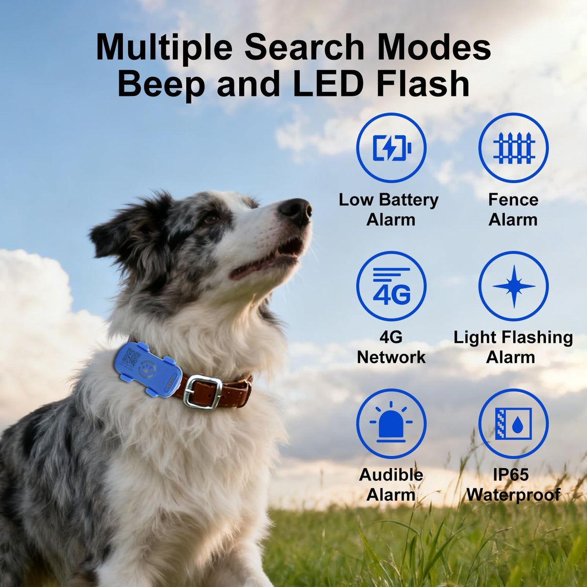 Pet GPS Tracker for Dogs & Cats |Real-Time Location | Subscription Required