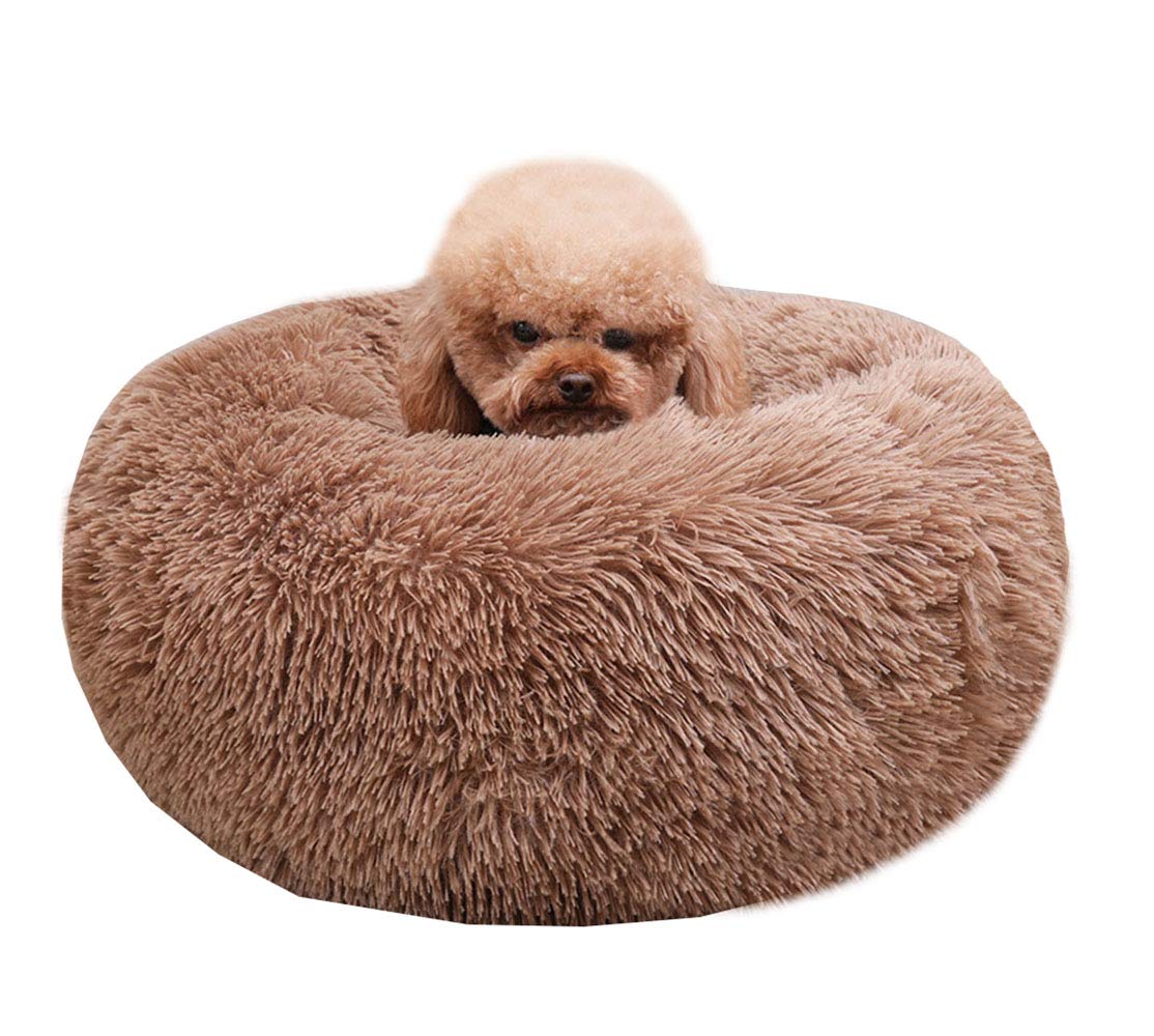 Cat Bed for Indoor Cats,Mini Plush Self Warming Kitten Bed, 20 Inch