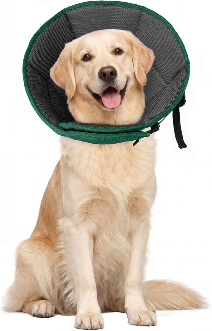 Allroaring Adjustable Dog Cone for Spay, Comfy Recovery Collar Green L