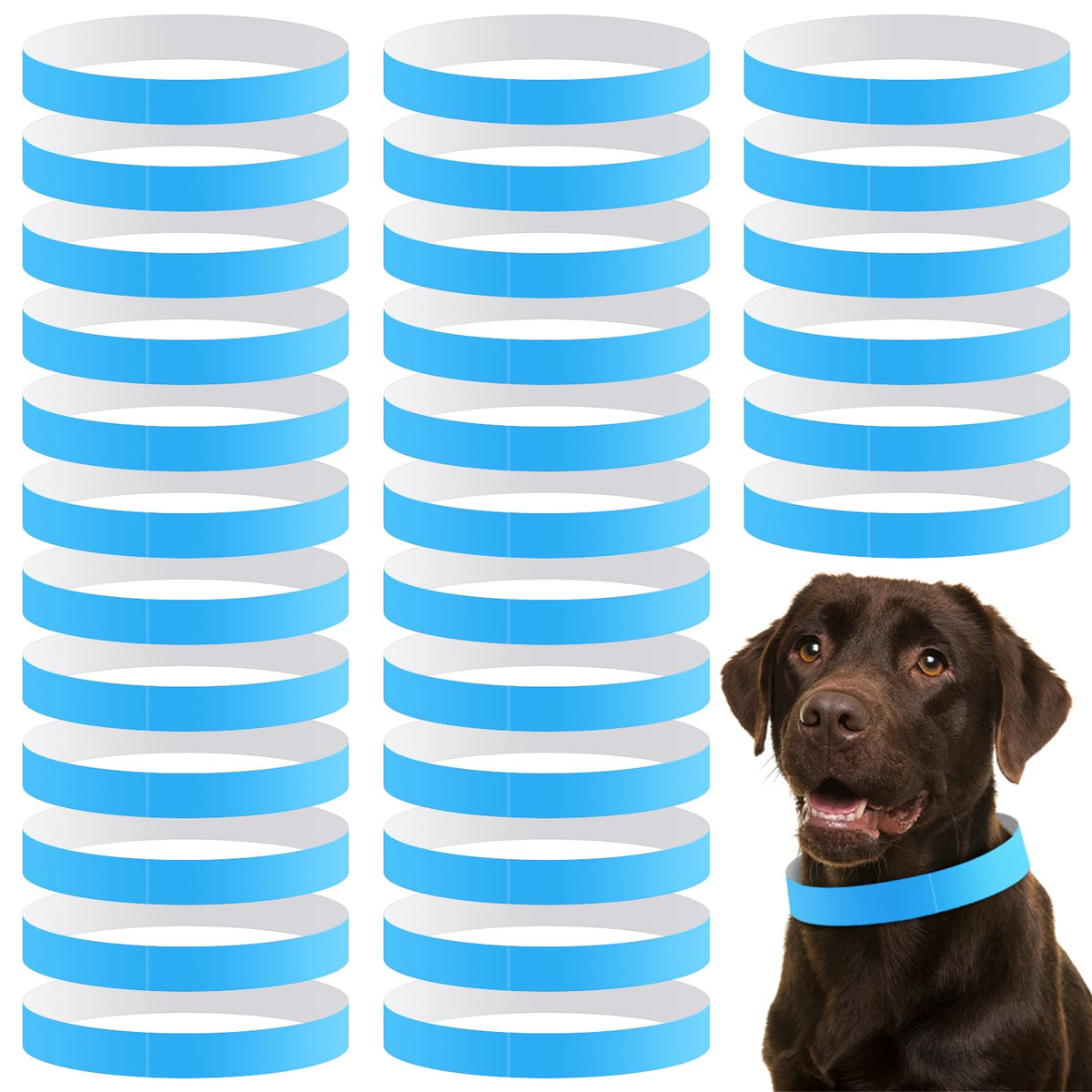 Clysee 500 Count 20inch Adjustable Paper Dog Collars with Tear Resistant Waterproof Whelping Collars Paper Puppy ID Bands Adhesive Pet Identification Tags for Newborn Dog Cat Hospitals(Blue)
