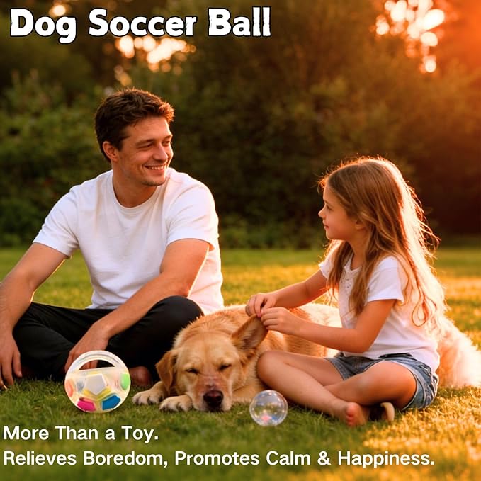 Dog Calming Ball with Handle, Interactive Ball for Playing with Pet Dogs, Interactive Soccer Toy with Squeaking Tennis Ball Inside, for Water Play, Training & Outdoor Games (White)
