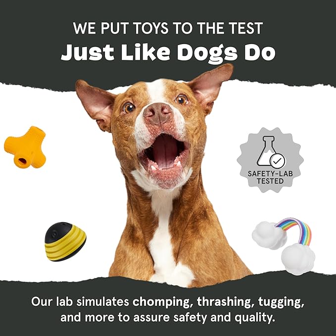 Barkbox Super Chewer Tough Dog Chew Toys for Aggressive Chewers, Dental Stimulating (PB Bone - Large)