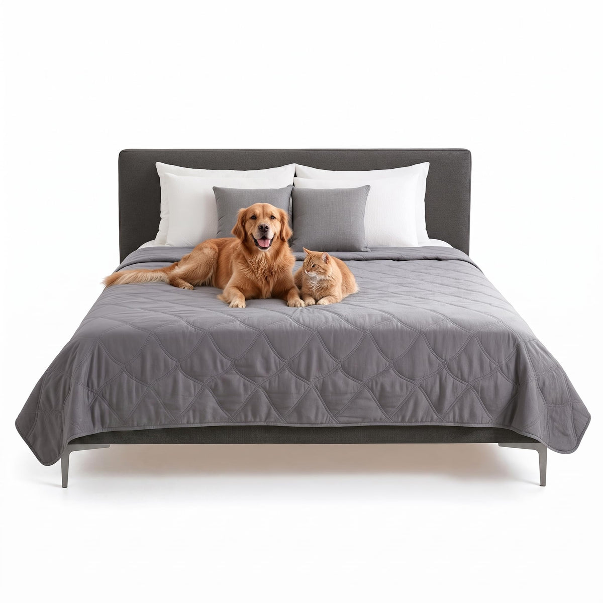 FurHaven Waterproof Blanket & Furniture Protector Cover with Non-Slip Backing, Machine Washable, Jumbo/King, Quilted Twill, Gray