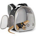 Bearded Dragon Carrier Backpack with Security Printing Harness Leash Set, Reptile Lizard Space Capsule Astronaut Clear Bubble Window Travel Carrier for Small Animal Guinea Pig(Black, Security Harness)