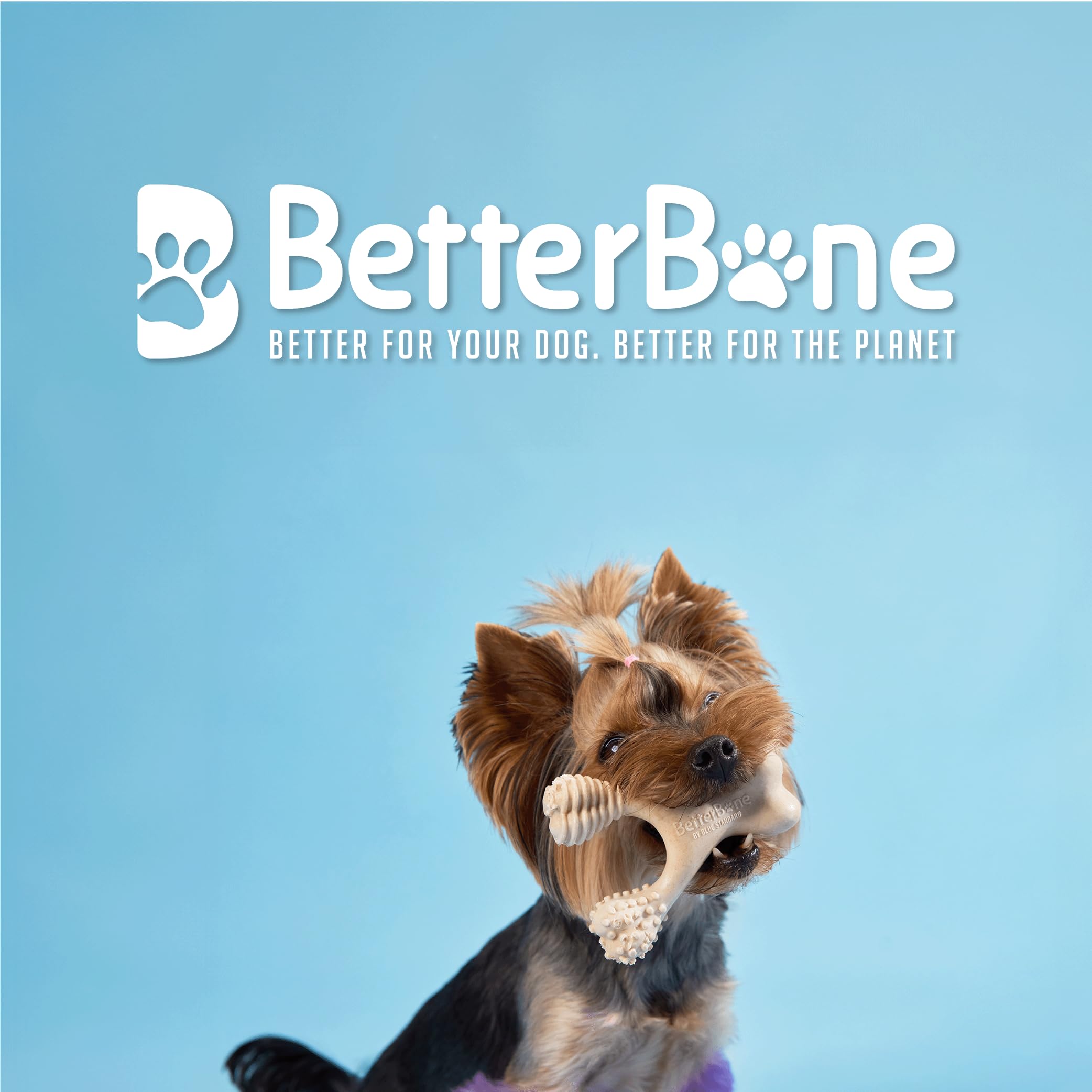 BetterBone - Soft Density - Ideal for Light to Moderate Chewers - All-Natural, Nylon-Free Dog Chew Toys - Non-Toxic, Promotes Dental Health, Splinter-Resistant, Sustainably Made