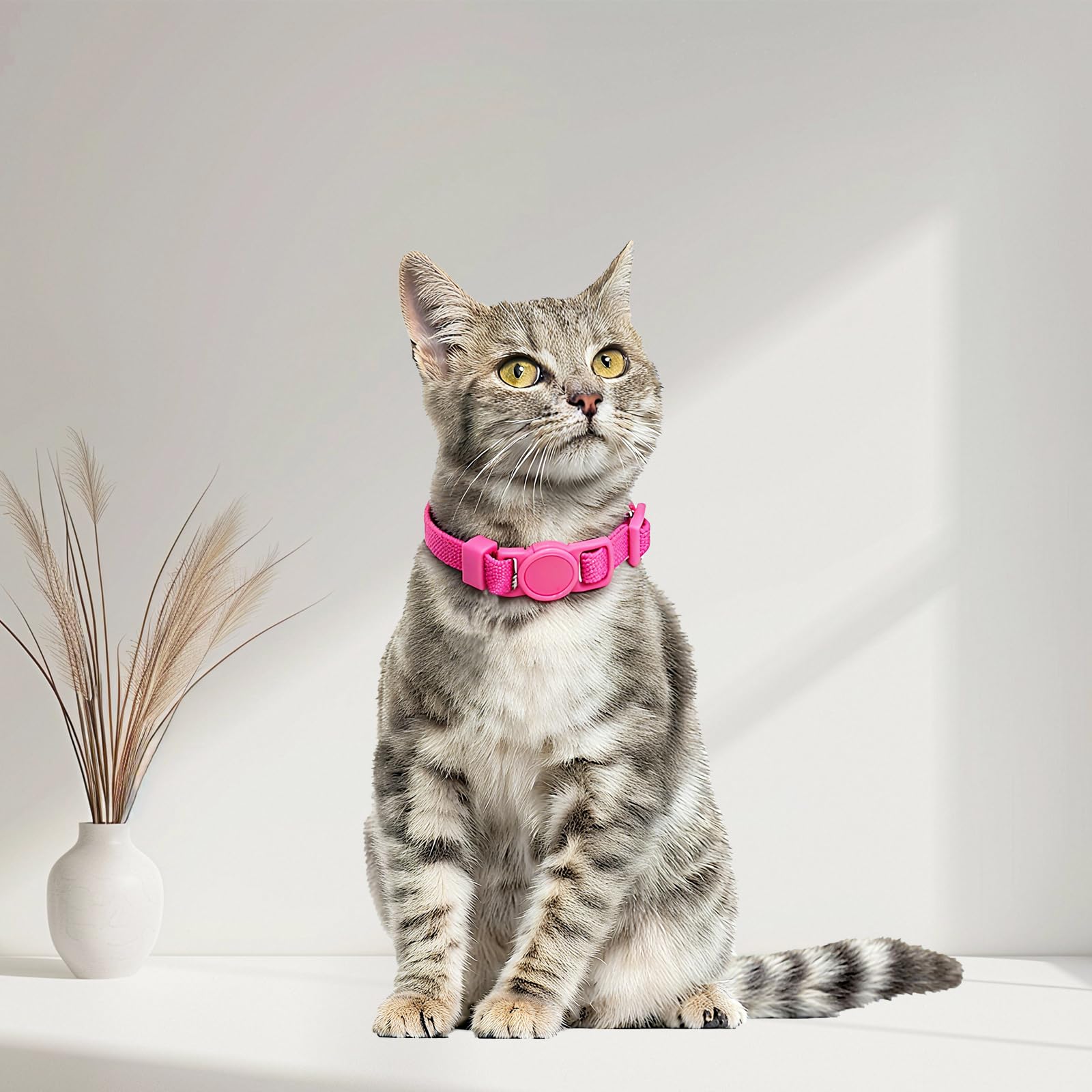 Breakaway Cat Collar with Bell, Safety Buckle Kitten Collar, Elastic Strech Quick Release, Adjustable Lightweight Collars for Girl Boy Cats, Pet Supplies, Accessories, Gifts Rose Red