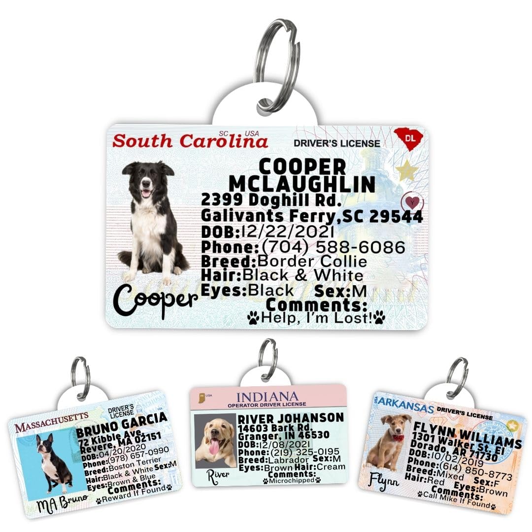 Dog Tags Personalized, Dog ID License Tag for Pets (Washington, Tag)
