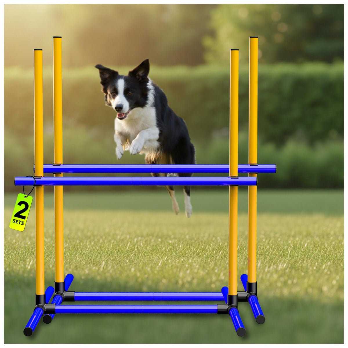 MAICOBI 6 Weave Poles or 2 Hurdle Dog Agility Set, Indoor & Outdoor