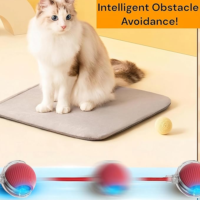 Interactive Electric Automatic Rolling Moving Rechargeable Self Play Stimulation Toy,Smart Pet Chase with Speedy Tail Rope for Bored Indoor Cats (Blue)