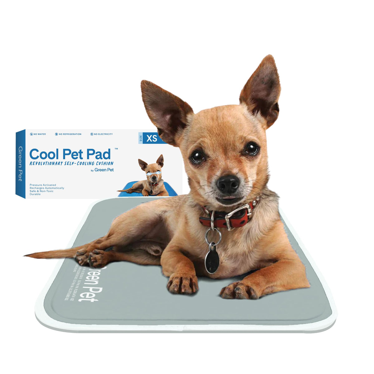 The Green Pet Shop Cool Pet Pad - Medium, Blue - Self-Cooling, Pressure Activated Mat for Dogs & Cats from 21-45 lbs - Non-Toxic Gel, No Water Needed