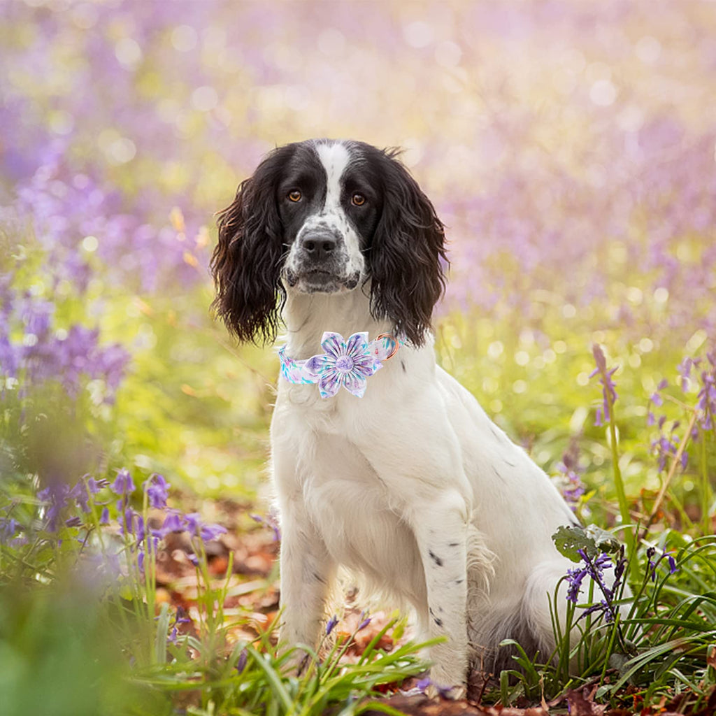 Lionheart Glory Dog Collar, Purple Dog Collar with Flower, Cute Floral Pattern Pet Collar Adjustable Dog Collar for Medium Dogs