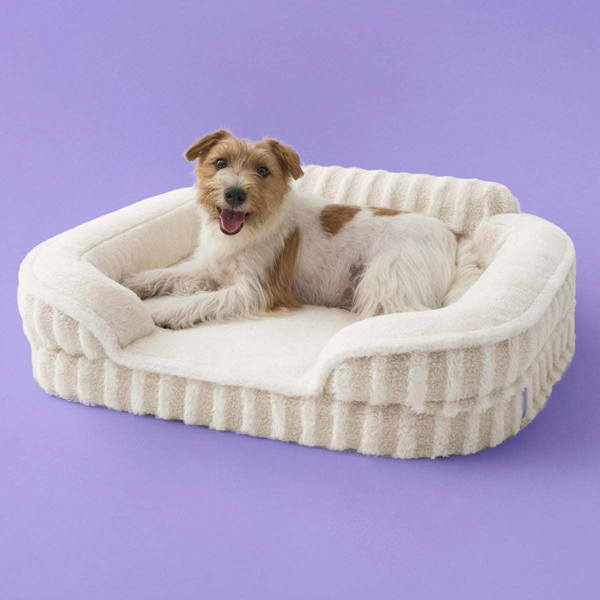 LE SURE Cute Cozy High Back Orthopedic Dog Beds Large Sized Dog,35" Beige