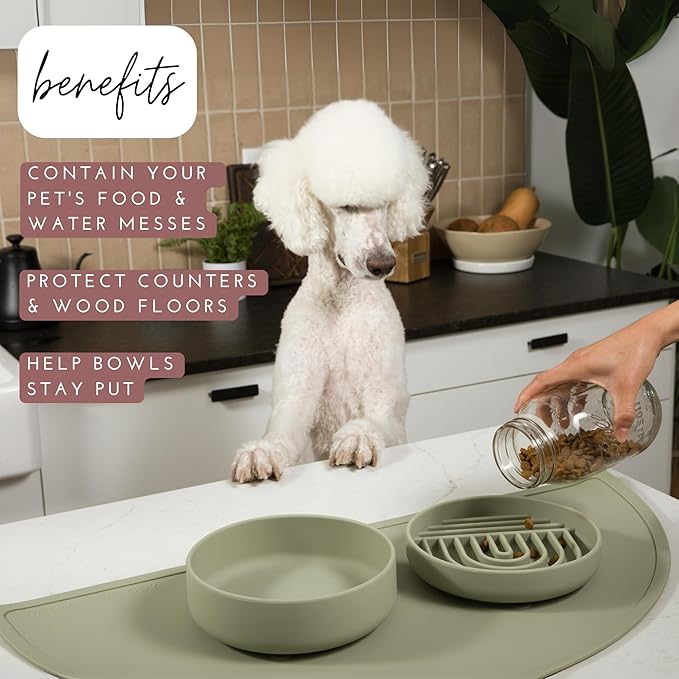 Should We Go - Waterproof Silicone Pet Food Mat - Non-Slip Spill-Proof Feeding Mat for Floors, Raised Edge Design, Easy-to-Clean Rubber Pad for Dog & Cat Bowls, 28" Across x 14" Deep, Large-Charcoal