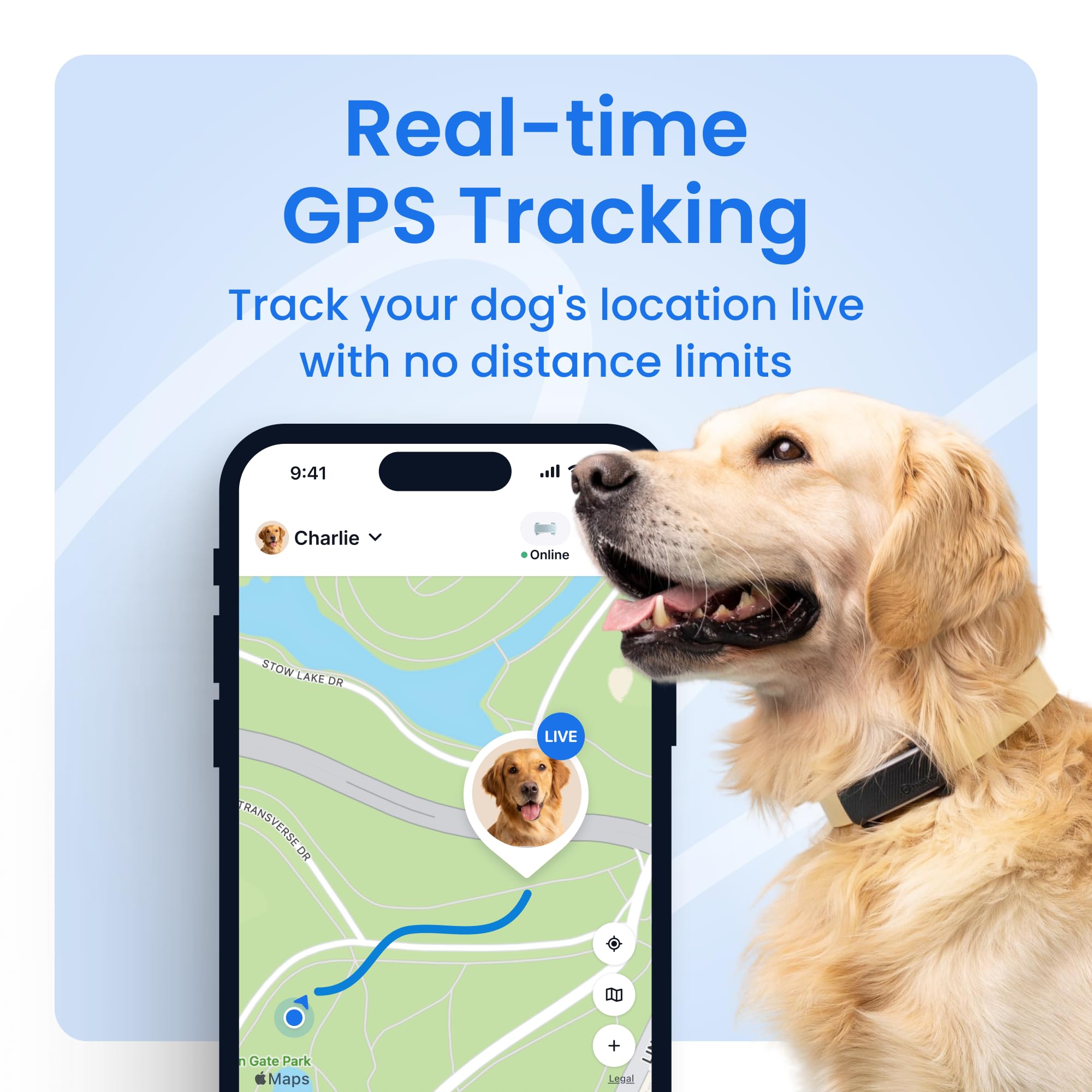 Tractive Smart Dog GPS Tracker | Live Pet Tracker with Virtual Fence | Vital Signs Monitoring of Heart & Respiratory Rate | Bark Monitoring | Dog Collar Attachment (Mint)