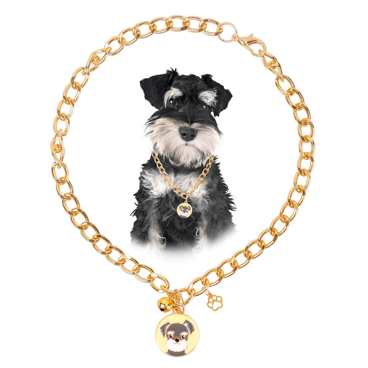 HOWWFALY Dog Collar and Dog Chain Necklace Stainless Steel Adjustable 18K Sliver Heart-Shaped Necklace for Small Pets Cats Kitten Puppy (Sliver, 12 inch)