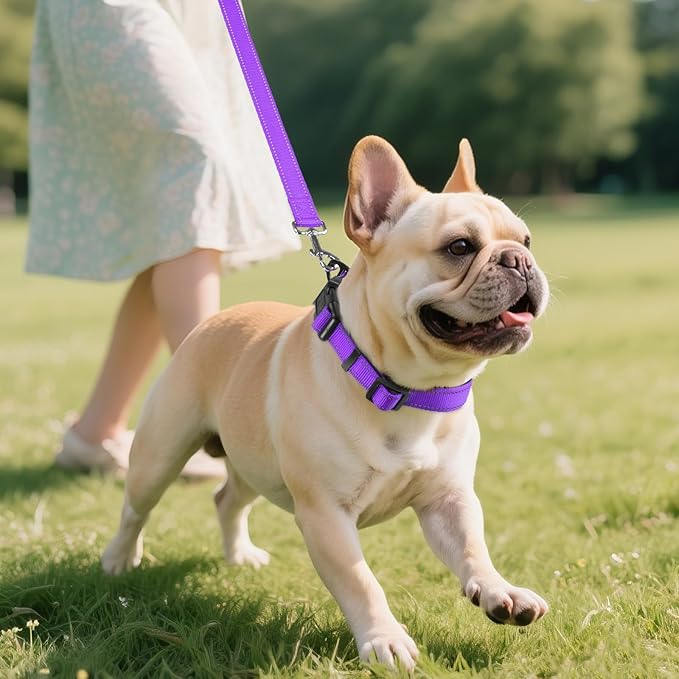 Joytale Reflective Dog Collar, Adjustable Neoprene Padded, Purple M