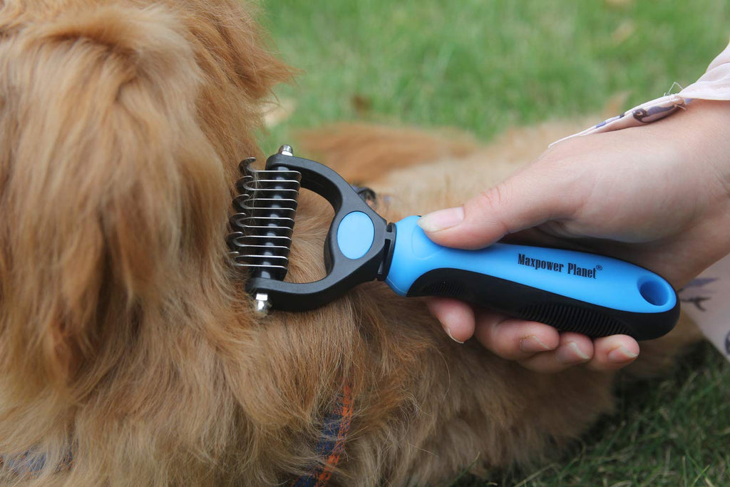 Maxpower Planet Pet Grooming Brush - Double Sided Dematting Undercoat Rake for Dogs and Cats, Extra Wide Pet Brush to Reduce Shedding by 95% (Blue, S)