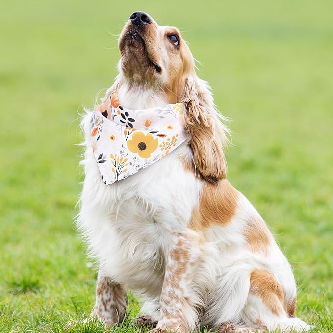 Whaline 4 Pcs Boho Pet Bandanas, Daisy Rainbow Floral Flower