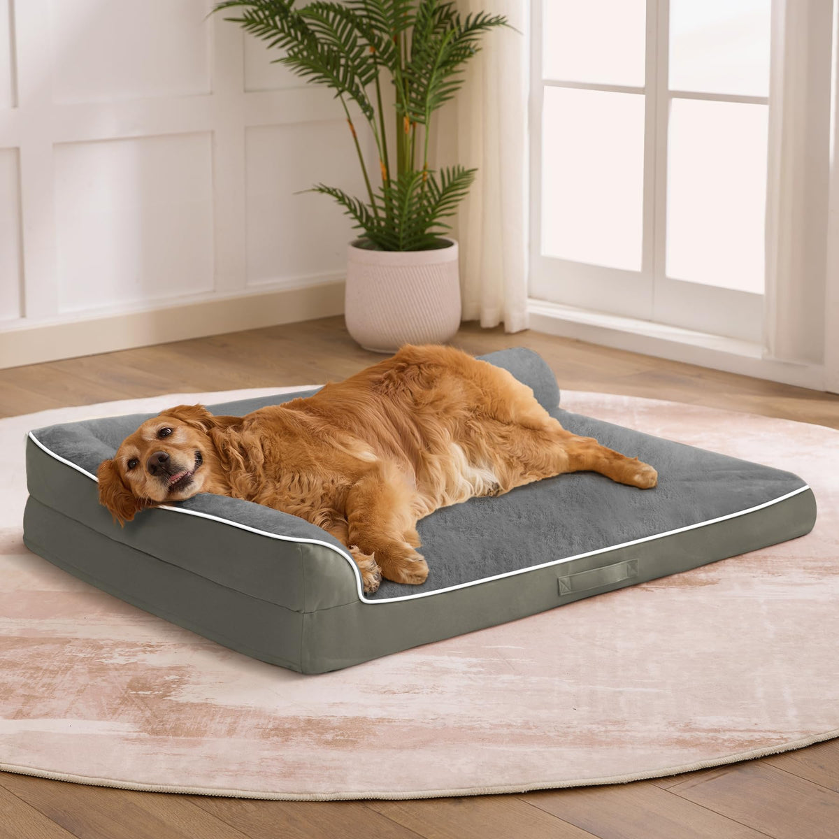 Aeroluxe XXL Orthopedic Dog Bed, Extra Large Dogs, 48"x35"x7.5", Beige