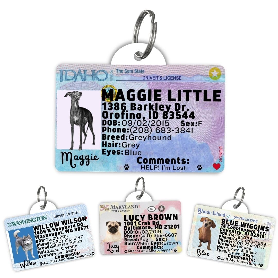Dog Tags Personalized, Dog ID License Tag for Pets (Washington, Tag)