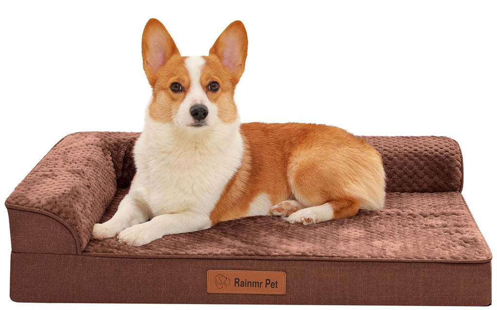 Rainmr Waterproof Dog Bed for Small Dogs - Orthopedic Memory Foam Puppy Couch Sofa, Removable Cover & Anti-Slip Bottom, 35x23 Inches, Brown