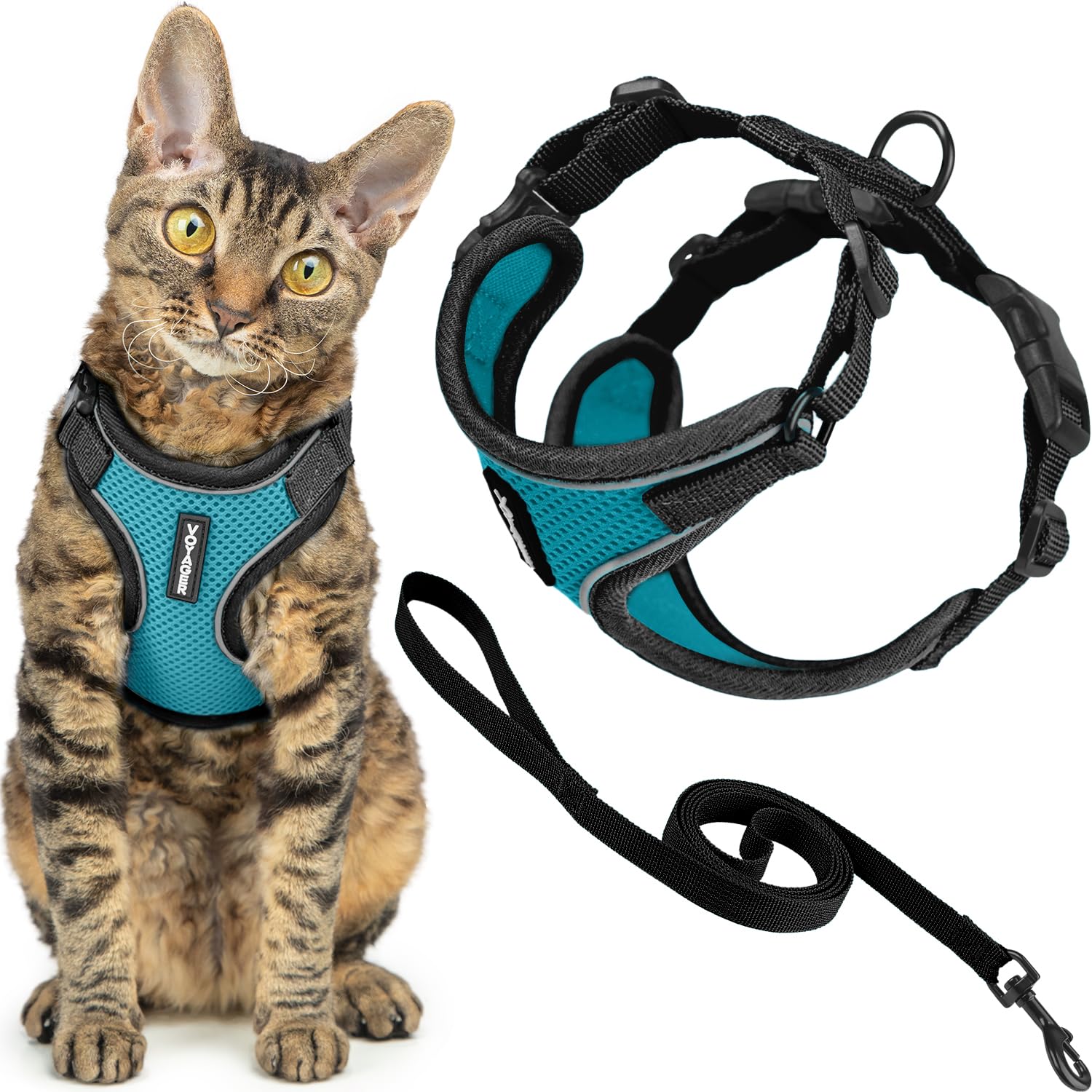 Voyager Escape-Proof Step-in Lock Cat Harness & 5ft Neoprene-Handle Leash Set All-Weather Mesh with Reflective Stitching for Small to Large Cats by Best Pet Supplies, Black Trim-Turquoise (327), XS