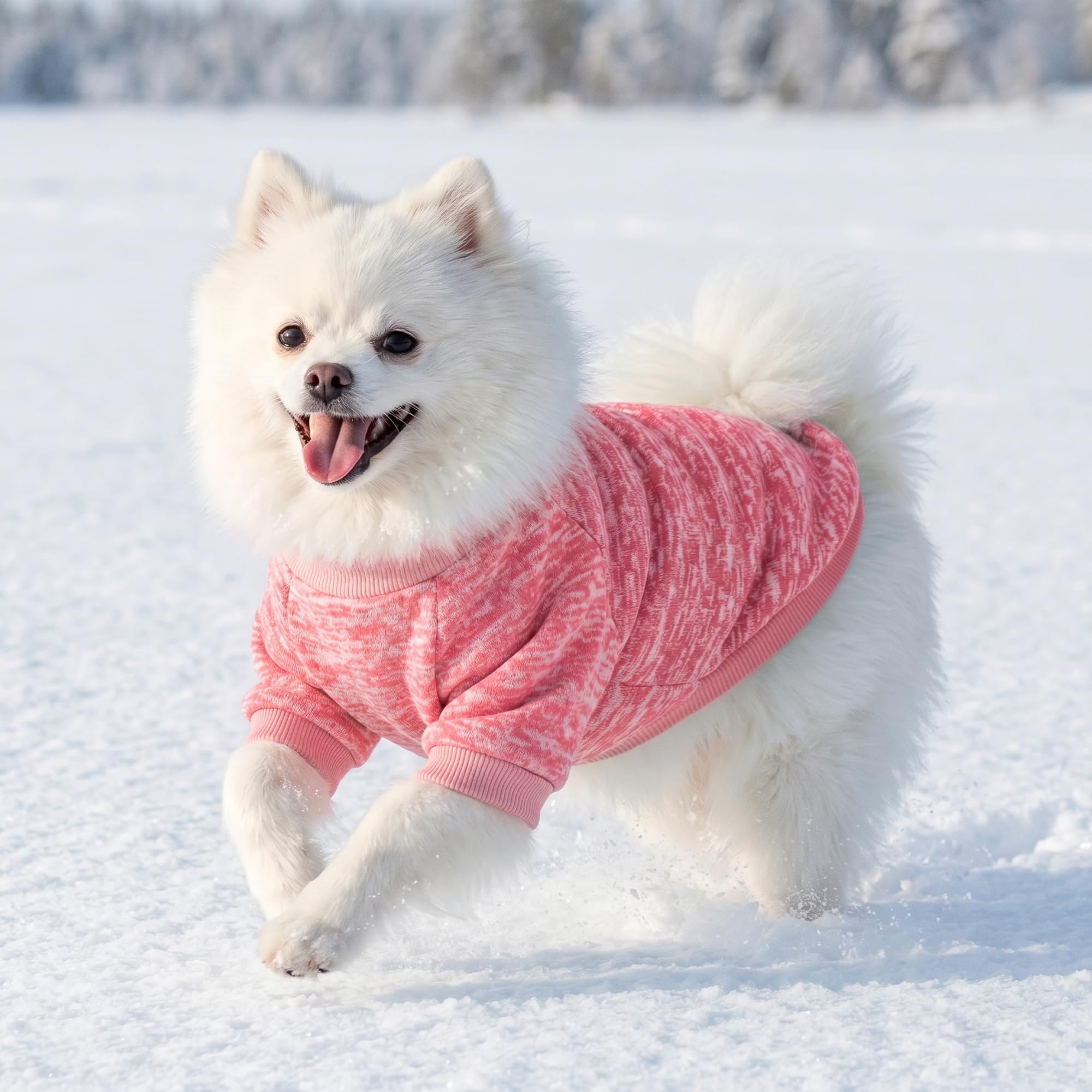 3 Pack Dog Sweaters for Small Dogs Girl Boy Winter Fleece Clothes Warm Soft Dog Sweatshirt Outfit for Dogs Cats Pet Apparel