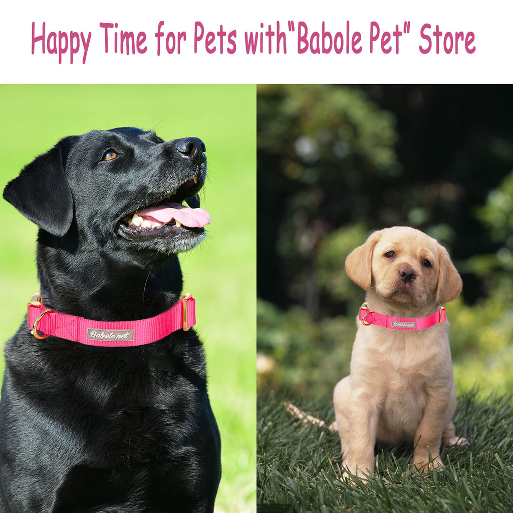 Babole Pet Nylon Dog Collar - Adjustable Rose Red Soft Webbing Dog Collars for Small Medium Large Dogs Boy Girl Puppy Collar with Safety Metal Buckle S