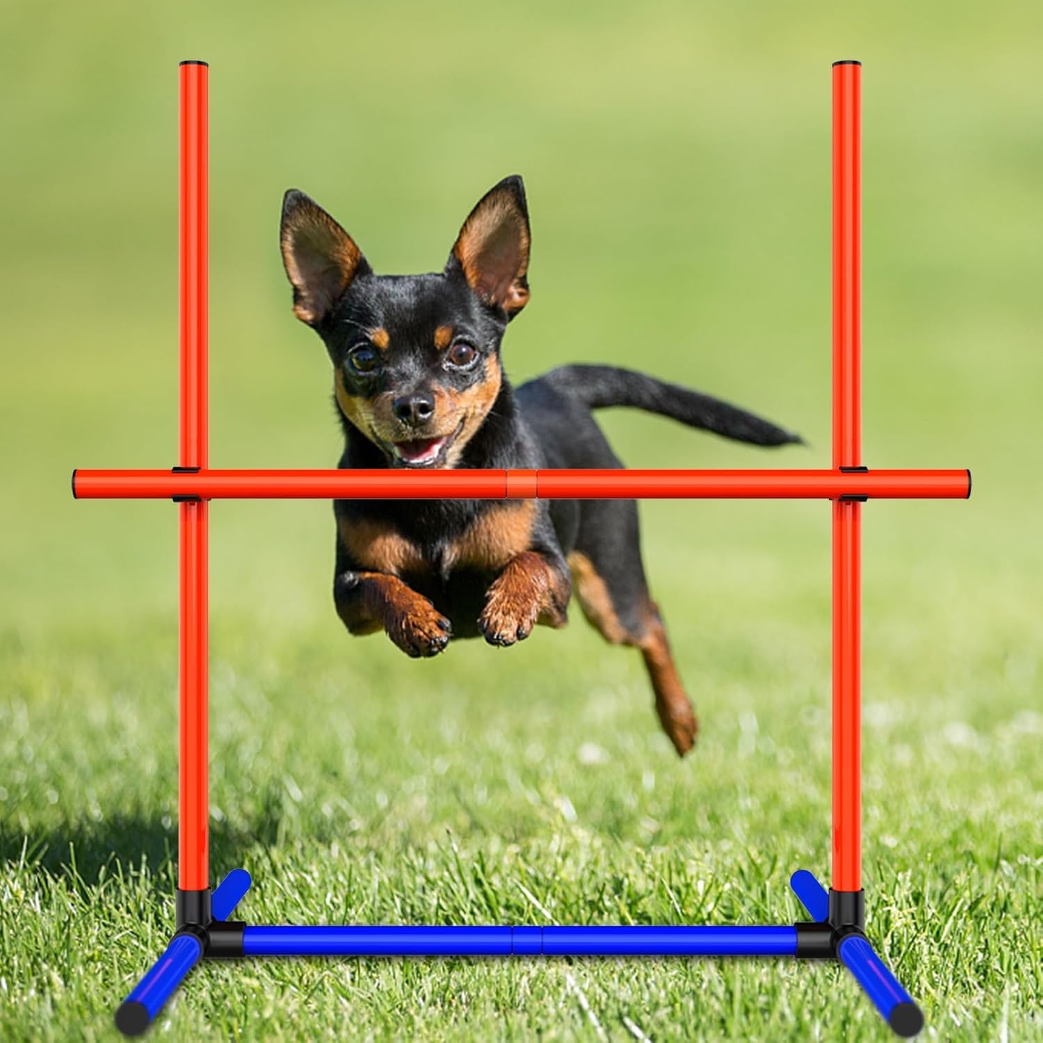 Uzpomel Dog Agility Equipment Set with Tunnel & Obstacles for Training