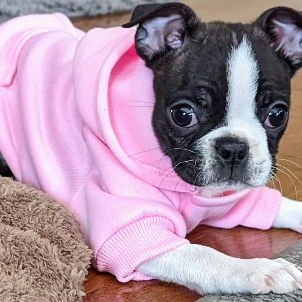 Soft Dog Hoodies for Small Dogs, Warm Fleece Puppy Clothes with Pocket