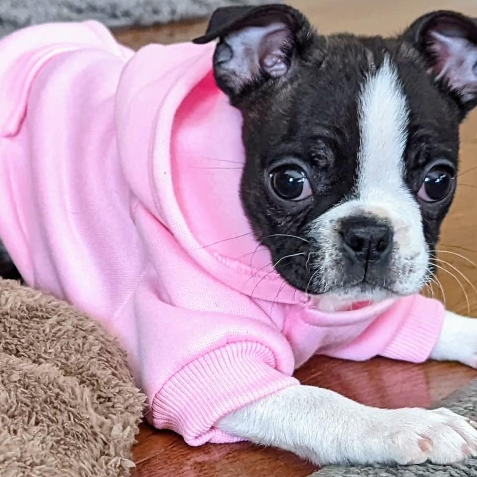 Soft Dog Hoodies for Small Dogs, Warm Fleece Puppy Clothes with Pocket
