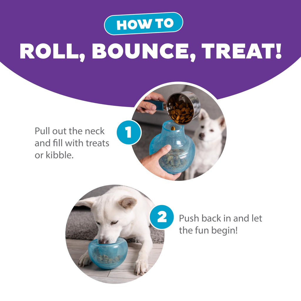 Outward Hound by Planet Dog Snoop Dog Toy – Treat‑Dispenser Puzzle Ball, Interactive Slow Feeder, Medium to Large Dogs, Bouncy & Mint-Infused, Blue, 5"
