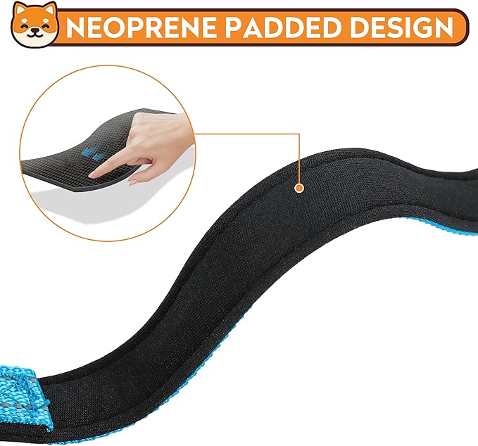 PWOD Reflective Dog Collar, Adjustable Soft Neoprene Padded Nylon Pet Collars with Buckle for Medium Dogs, Sky Blue,M