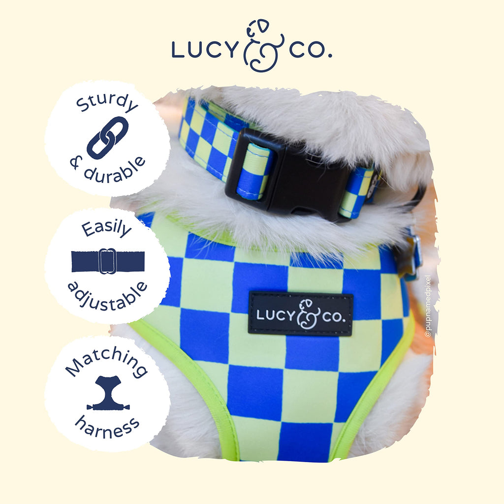 Lucy & Co. Have a Nice Day Dog Collar - Durable Lightweight Designer Collar for Pets - Adjustable Metal Safety Buckle - Lime Green Blue Checker - Large