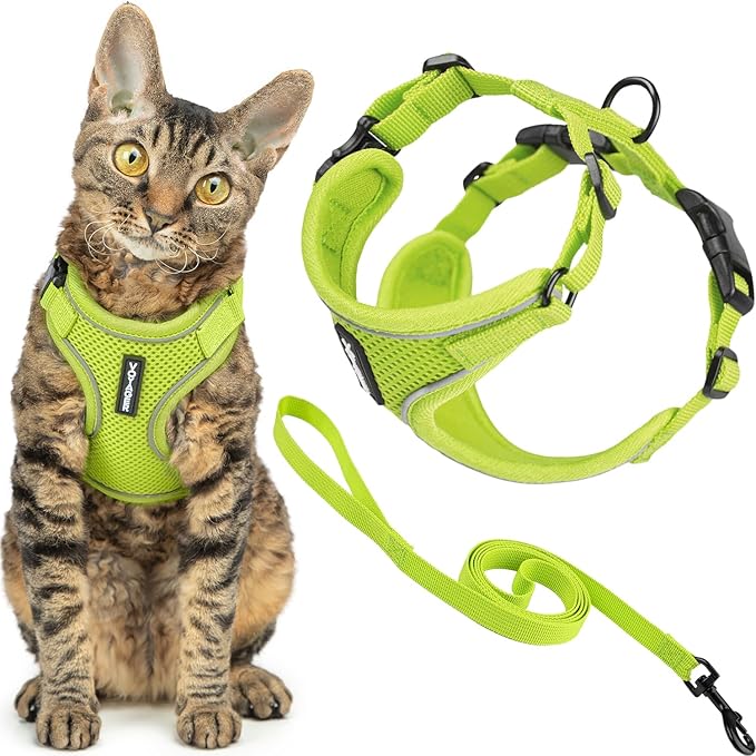 Voyager Escape-Proof Step-in Lock Cat Harness & 5ft Neoprene-Handle Leash Set All-Weather Mesh with Reflective Stitching for Small to Large Cats by Best Pet Supplies, Lime (327), M