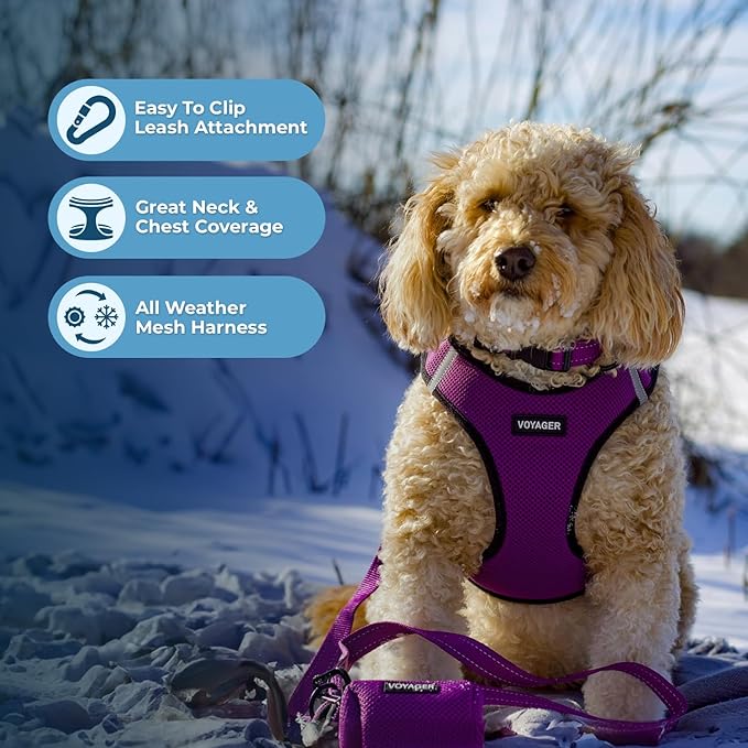 Best Pet Supplies - All Weather Mesh/Plush, Reflective, No Pull Harness for Small, Medium Dogs, Cats - Secure with Hook & Loop Fastener, Buckle, Double D-Rings - Purple/Black Trim, XL
