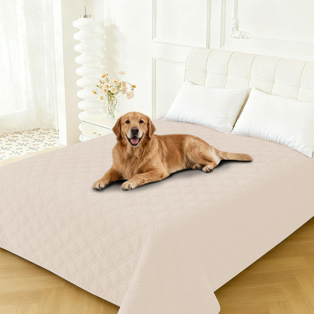 CYCMACO Waterproof Dog Blanket, Non-Slip Soft Pet Bed Cover, Couch Cover for Dogs Washable, Protects Sofa, Furniture, Crate, Car, Tear Resistant Leakproof Pet Blanket (30x70 Inch, Beige)