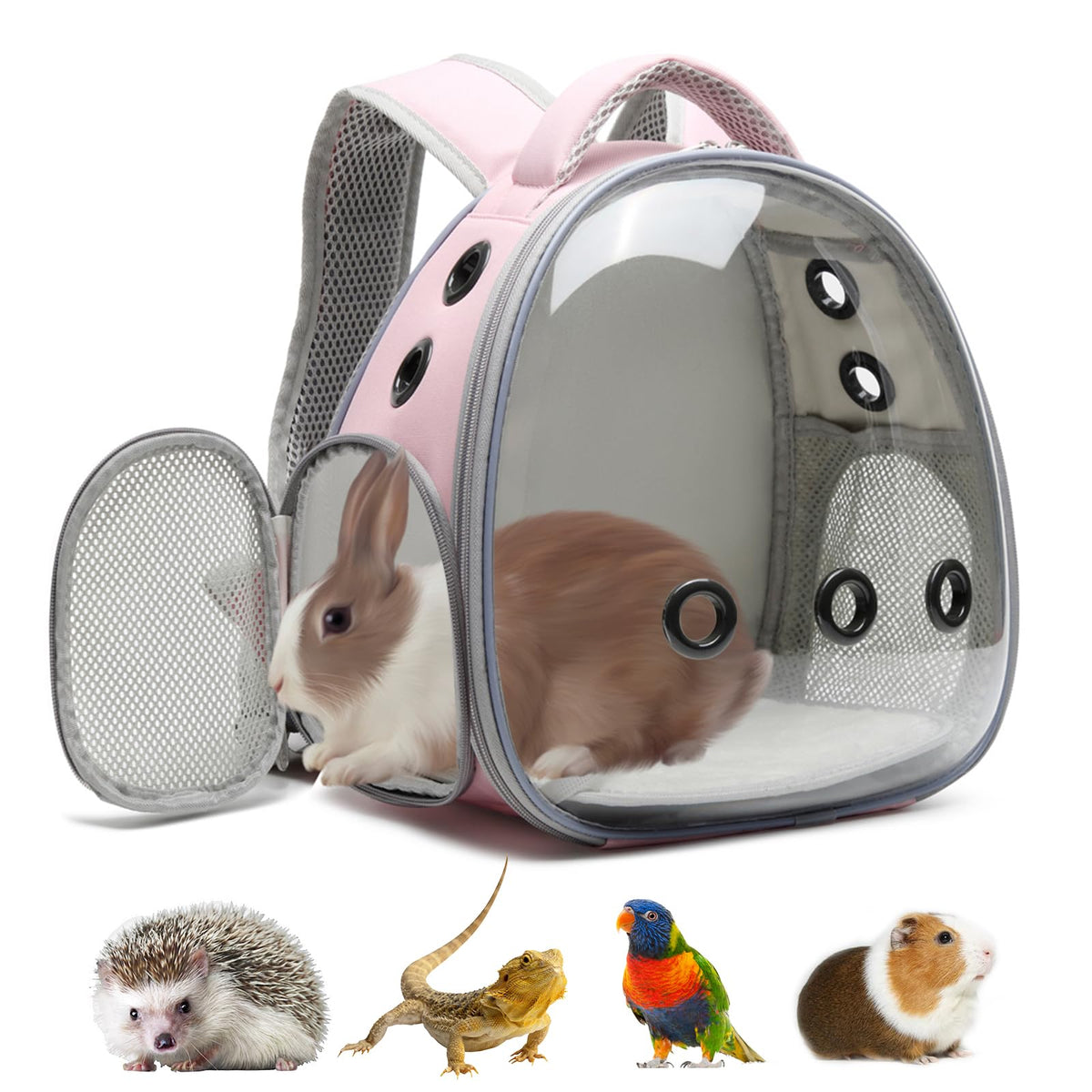 Ioview Portable Travel pet Backpack Carrier Hamster Bag Guinea Pig Bird Small Dog cat Turtle Carrier Rabbit Cage Squirrel Bearded Dragon Breathable Hangbag (Hua+Accessories)