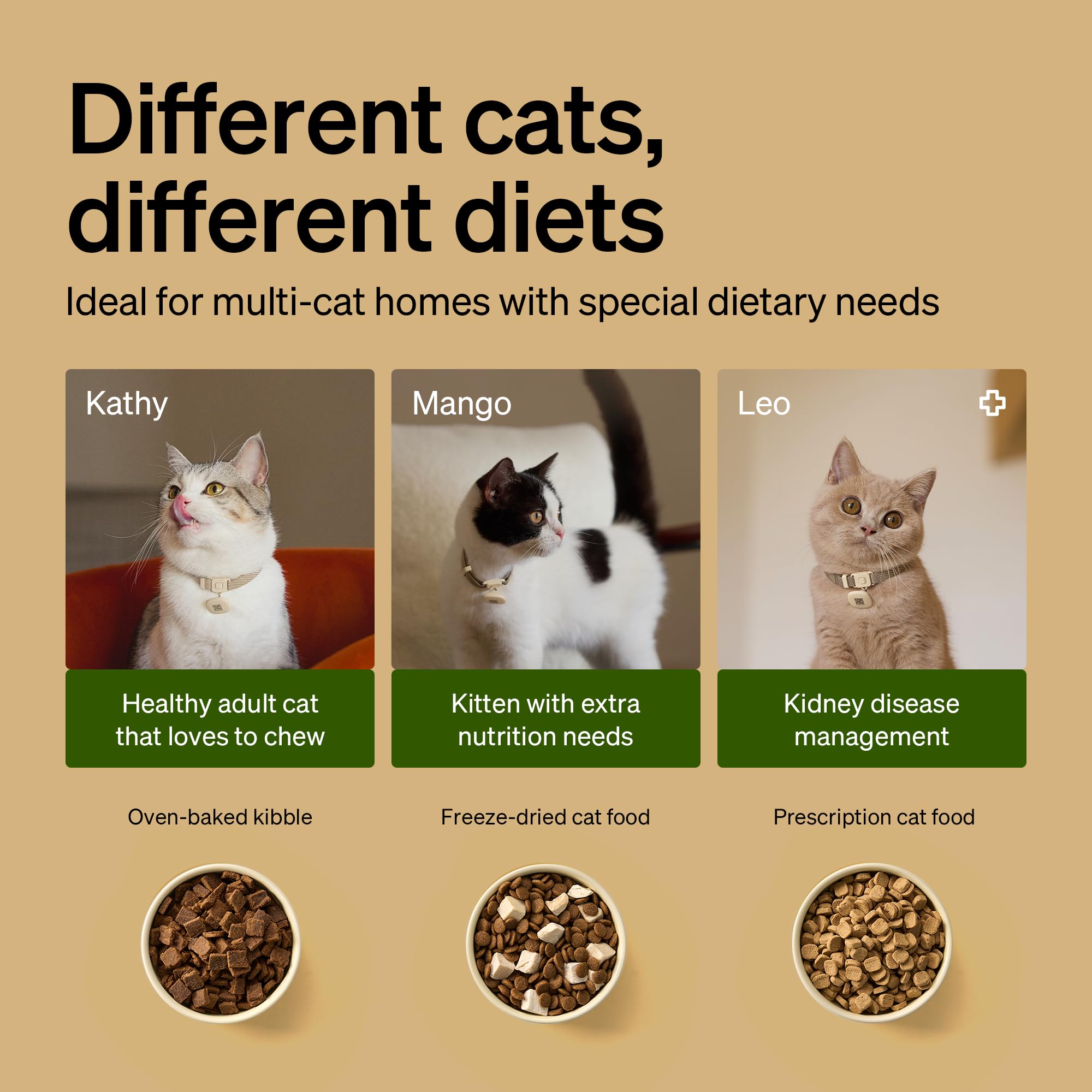 PETLIBRO RFID Automatic Cat Feeders for 3 Cats, Collar Sensor for Personalized Meals, Cats Recognition, Diet Tracking and Anti-Stealing for Multi-Pets Homes and Different Diets, WiFi Food Dispensers