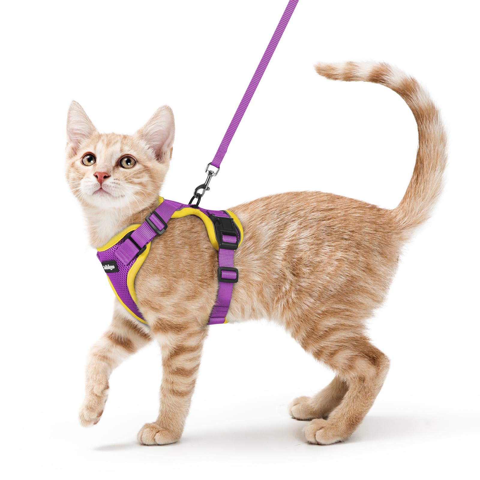 rabbitgoo Cat Harness and Leash Set, Escape Proof Vest, Emerald