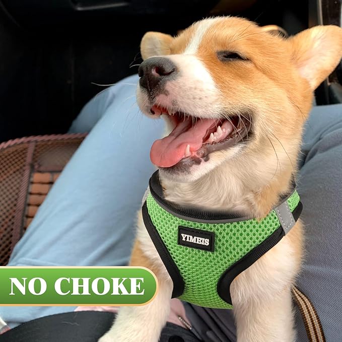 YIMEIS Dog Harness and Leash Set, No Pull Soft Mesh Pet Harness, Reflective Adjustable Puppy Vest for Small Medium Large Dogs, Cats (Grass Green, Small (Pack of 1)