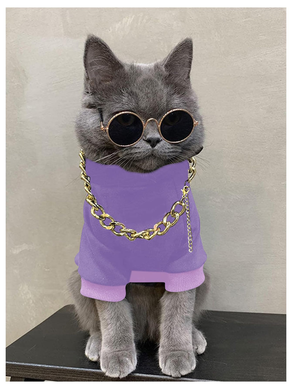 QWINEE 3Pcs Dog Hoodie Cat Apparel Dog Custume Set with Necklace and Sunglasses Pet Clothes for Puppy Small Medium Dogs Cats Mauve Purple Large