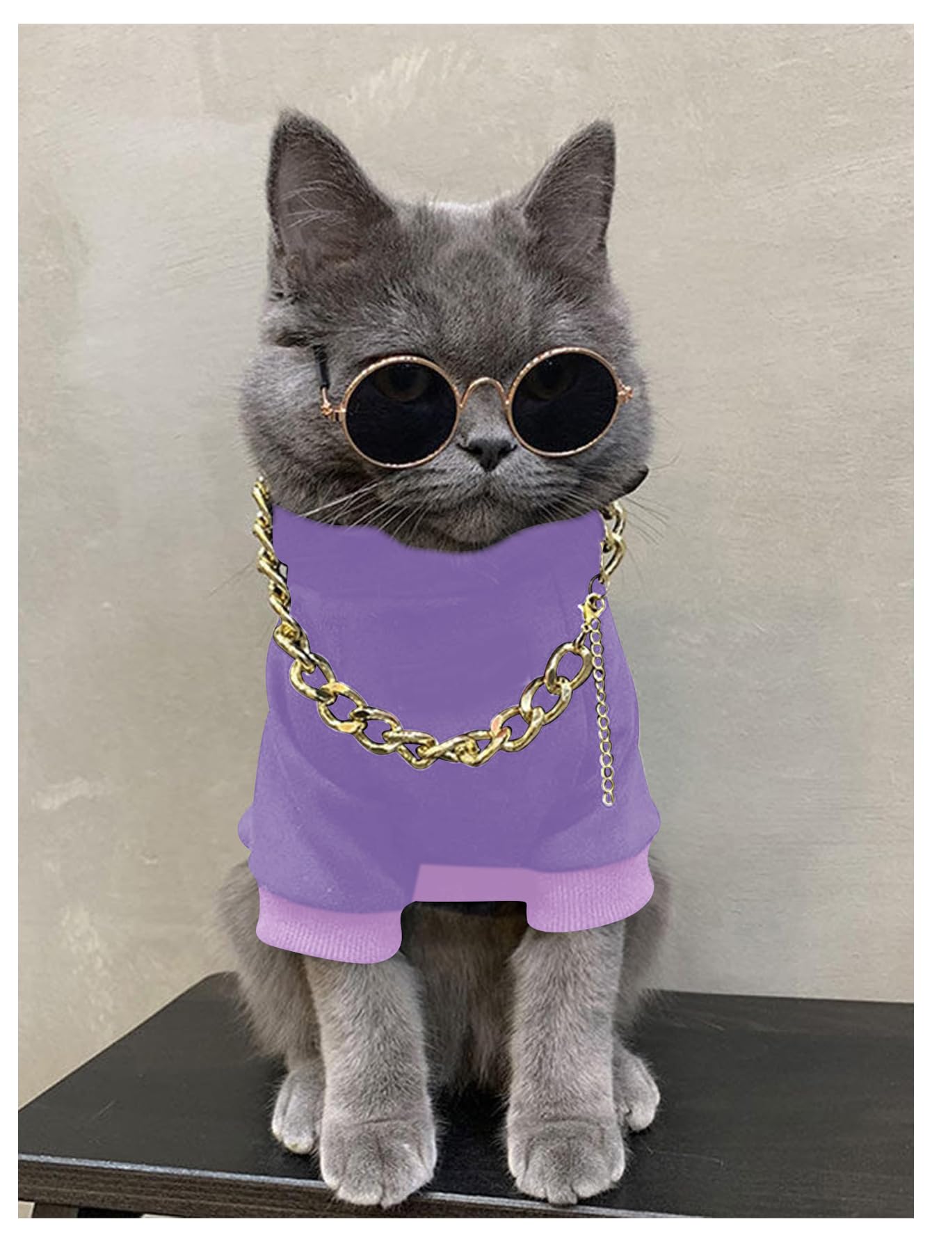 QWINEE 3Pcs Dog Hoodie Cat Apparel Dog Custume Set with Necklace and Sunglasses Pet Clothes for Puppy Small Medium Dogs Cats Mauve Purple X-Small