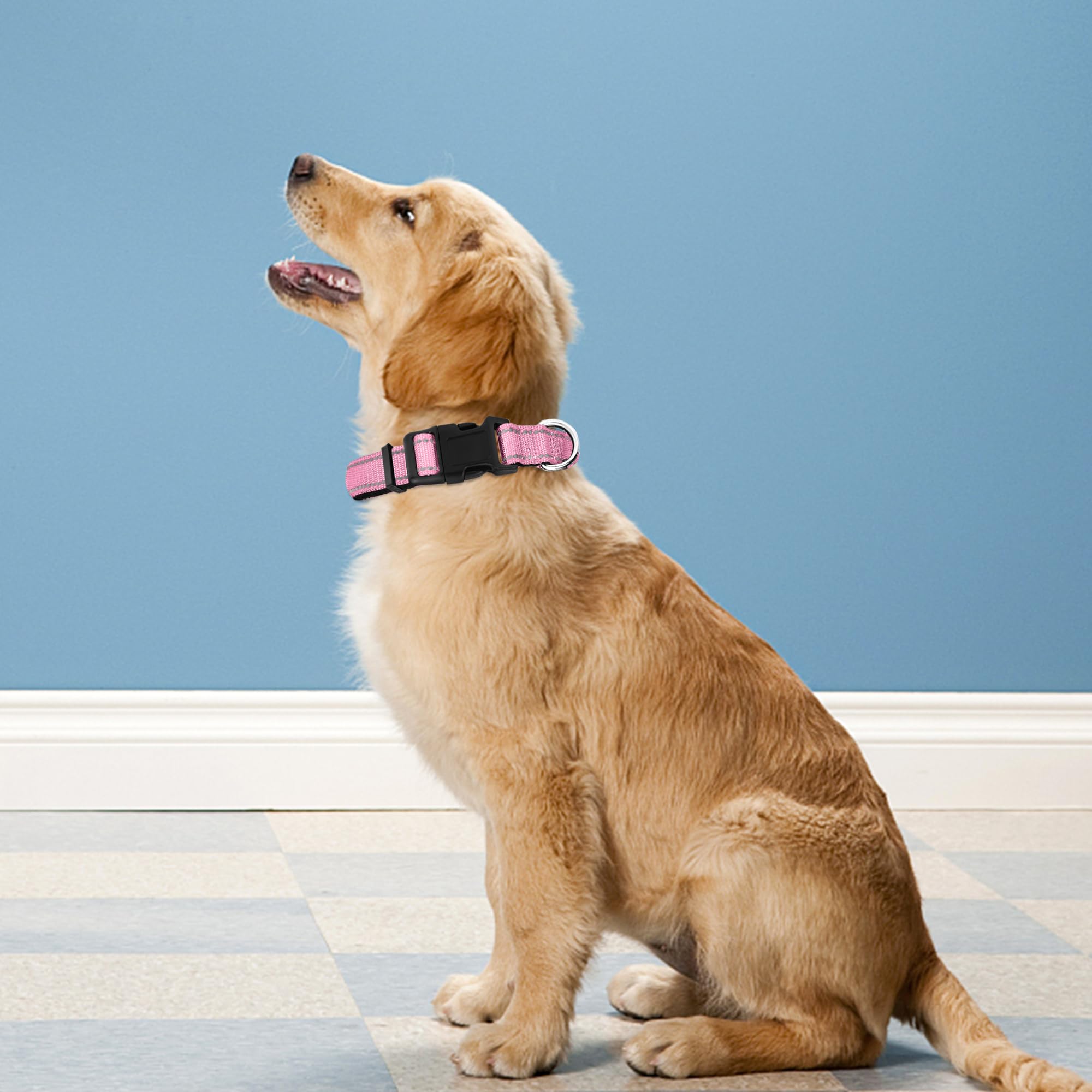 PWOD Reflective Dog Collar, Adjustable Soft Neoprene Padded,Light Pink,S