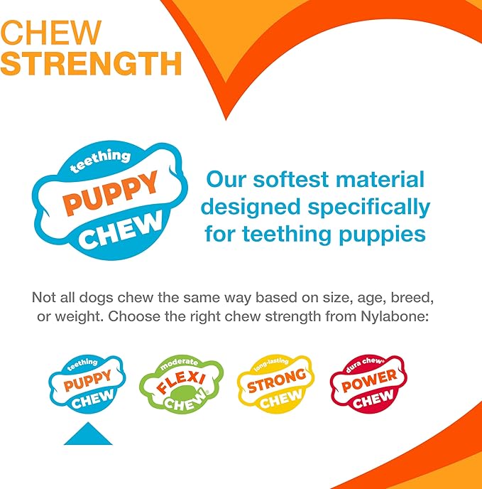 Nylabone Puppy Chew Double Action Bone Rubber Dog Chew Toy, Medium