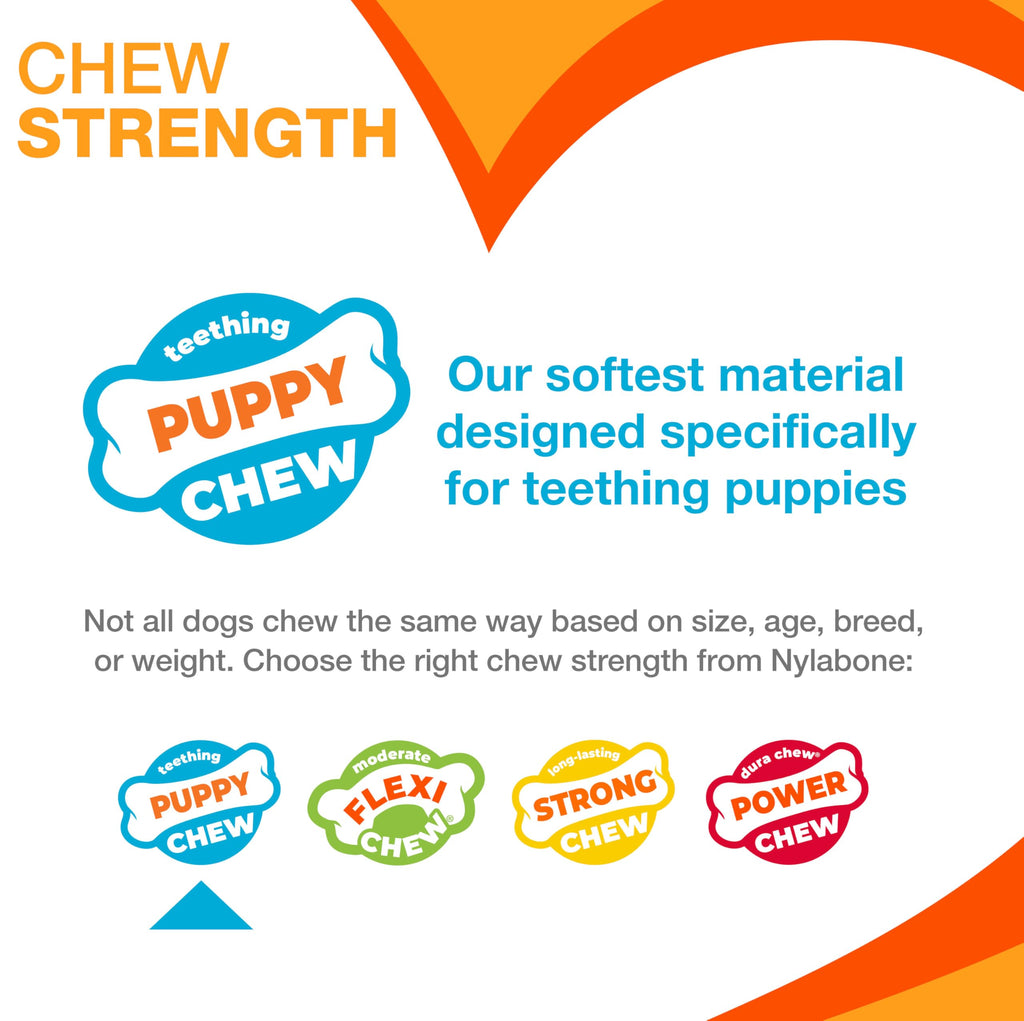 Nylabone Puppy Chew Blue Textured Teething Dog Bone, X-Small
