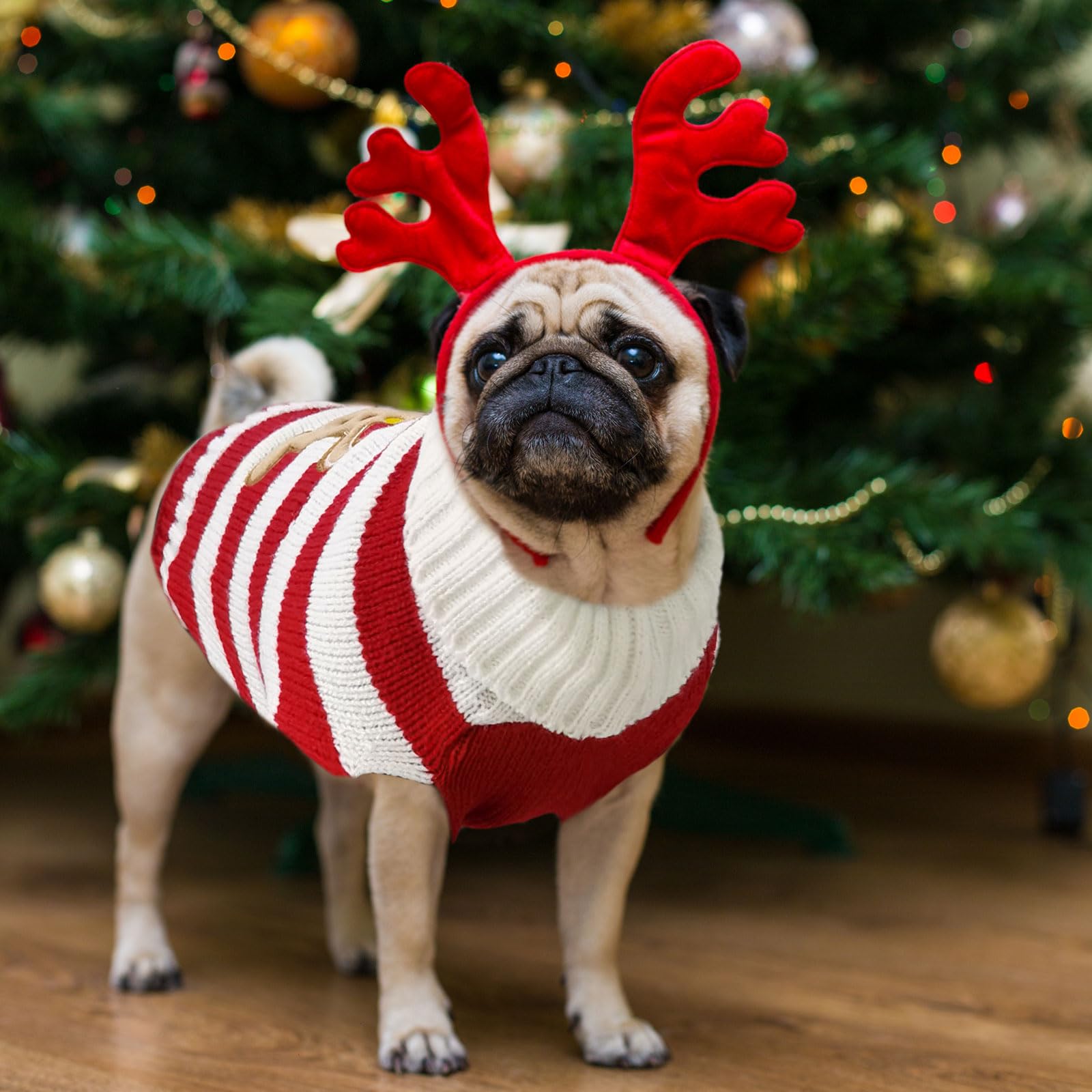 DOGGYZSTYLE Dog Christmas Sweater Xmas Pet Clothes Cute Striped Gingerbread Man Costume Holiday Puppy Cat Jumpers Outfits New Year Gifts for Small Medium Large Dogs(Red Gingerbread Man,S)