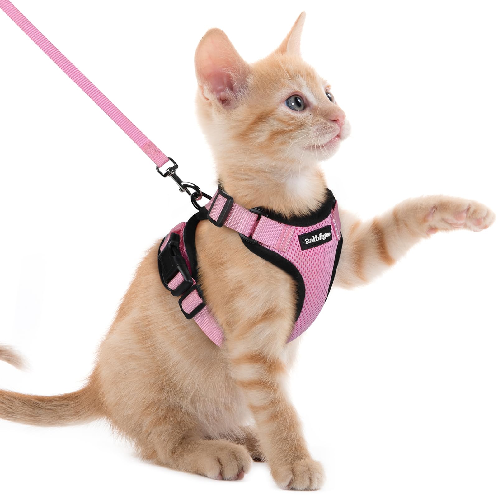 rabbitgoo Cat Harness and Leash Set, Escape Proof Vest, Emerald