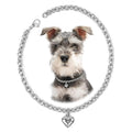 HOWWFALY Dog Collar and Dog Chain Necklace Stainless Steel Adjustable 18K Sliver Heart-Shaped Necklace for Small Pets Cats Kitten Puppy (Sliver, 12 inch)