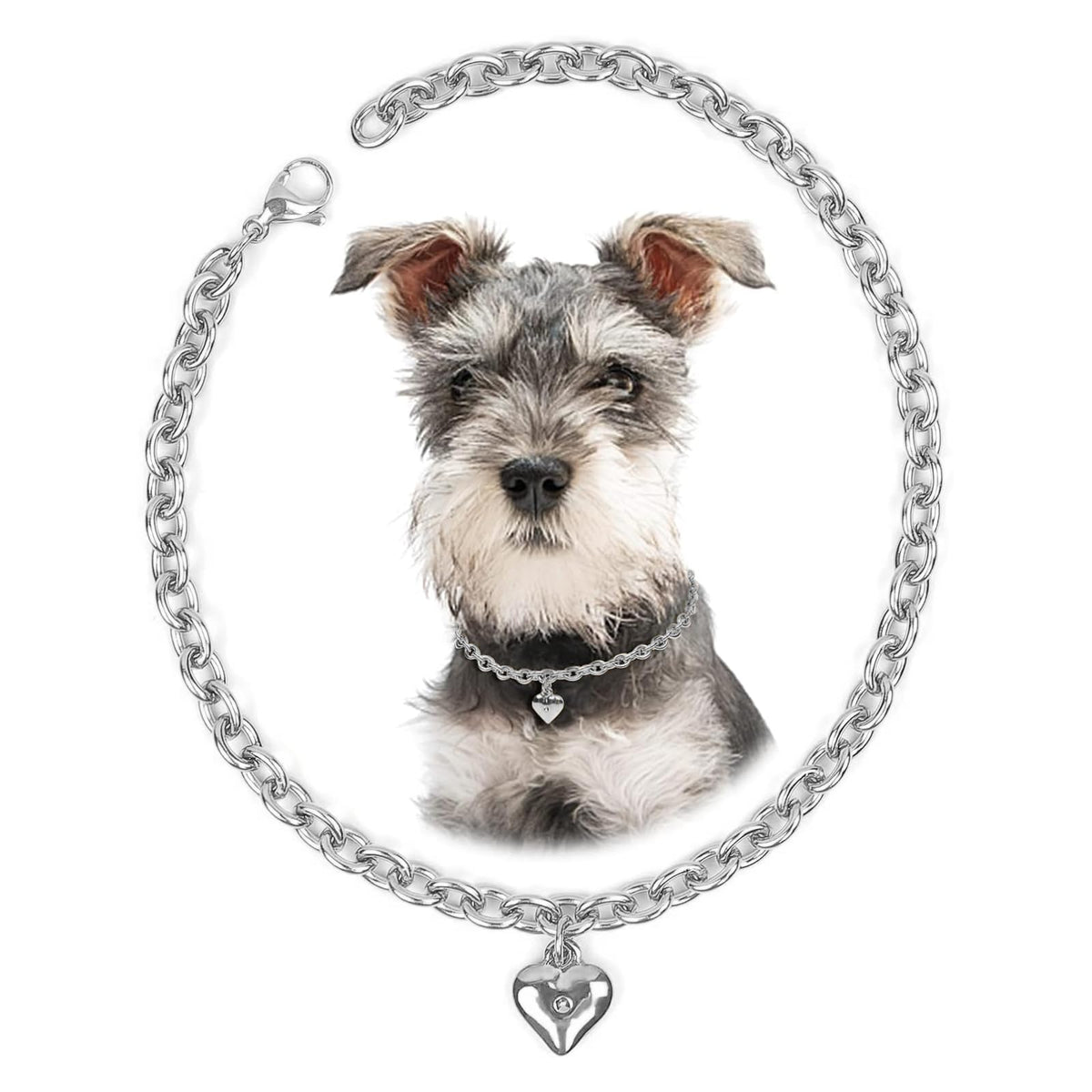 HOWWFALY Dog Collar and Dog Chain Necklace Stainless Steel Adjustable 18K Sliver Heart-Shaped Necklace for Small Pets Cats Kitten Puppy (Sliver, 12 inch)
